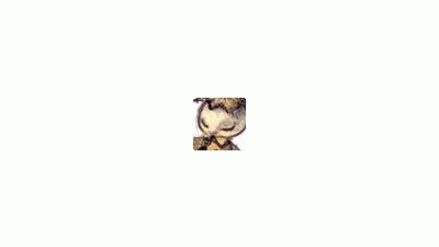 Image 46784